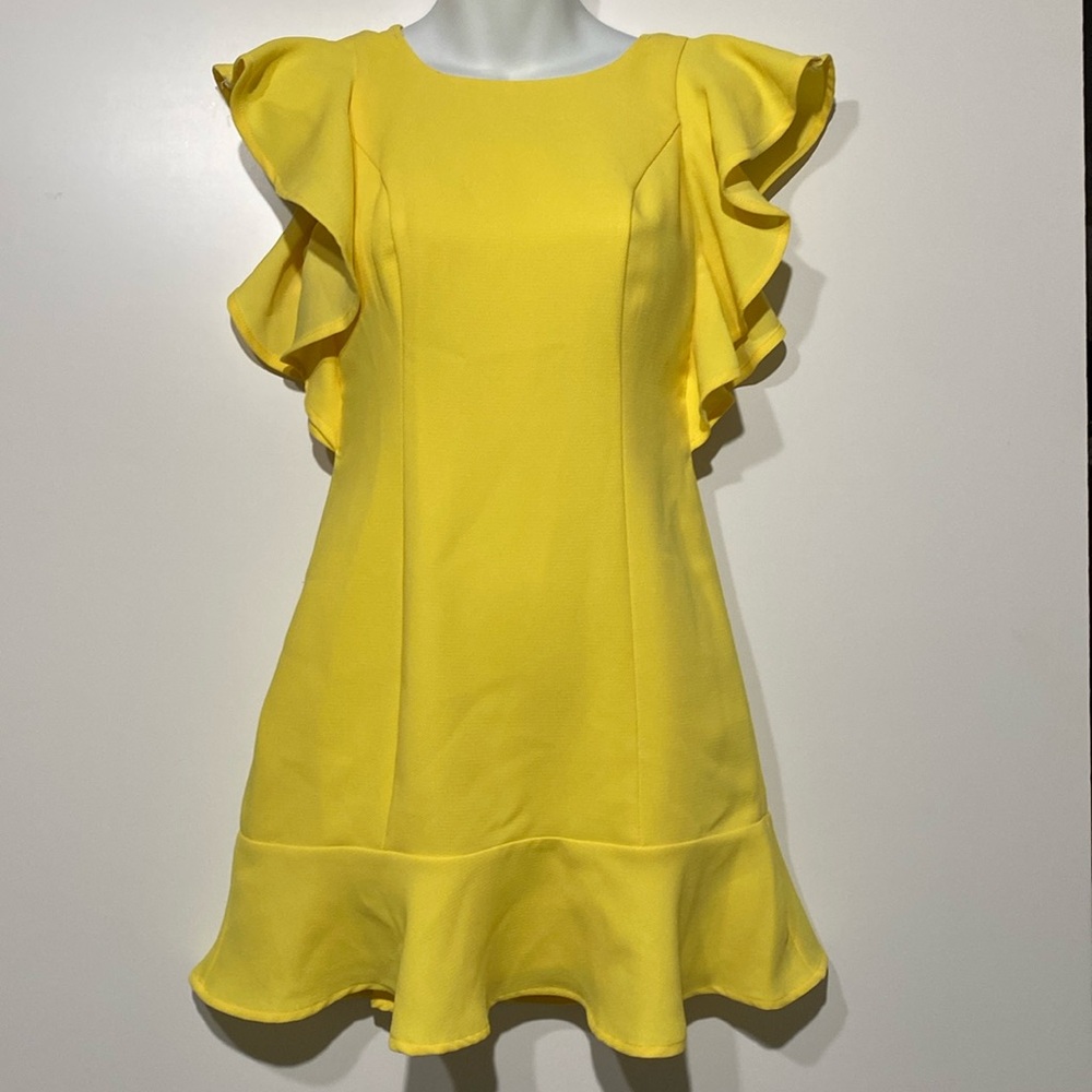 BCBGeneration Ruffle Mini Dress